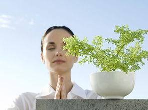 媒體曝光致明德產(chǎn)品創(chuàng)行業(yè)先河，引領中醫(yī)養(yǎng)生保健服務新潮流