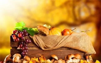 秋季養生家中必備食材10大排行榜，中醫養生保健服務指南