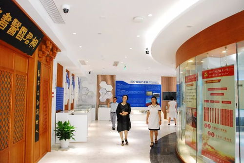 國標(biāo)調(diào)研進(jìn)行時(shí) 《健康管理養(yǎng)生保健服務(wù)基本規(guī)范》調(diào)研組深入江南養(yǎng)生文化村考察